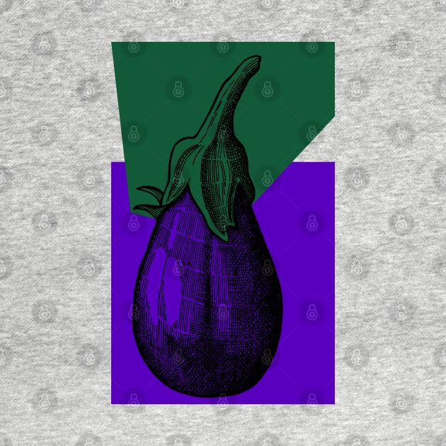 Eggplant by senkova